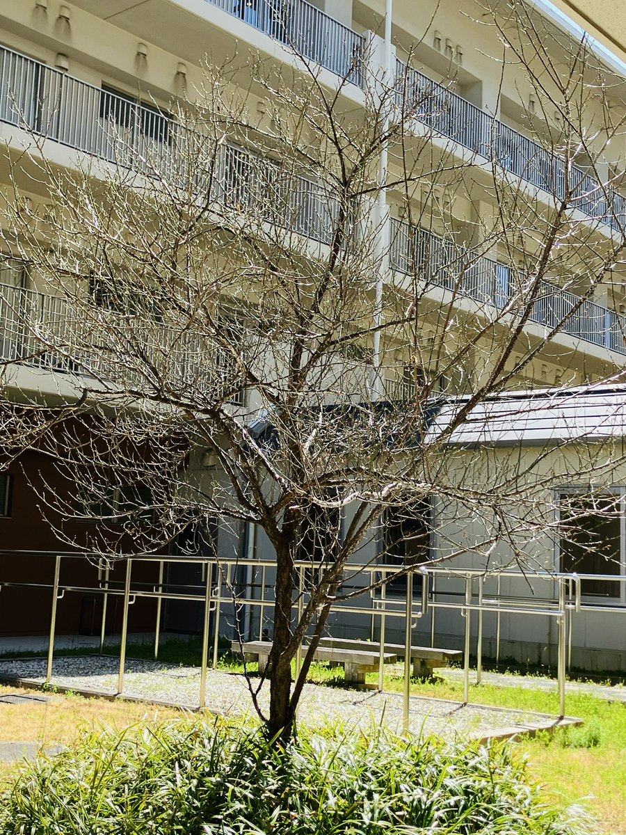 【公式】京都リハビリテーション病院 tweet media