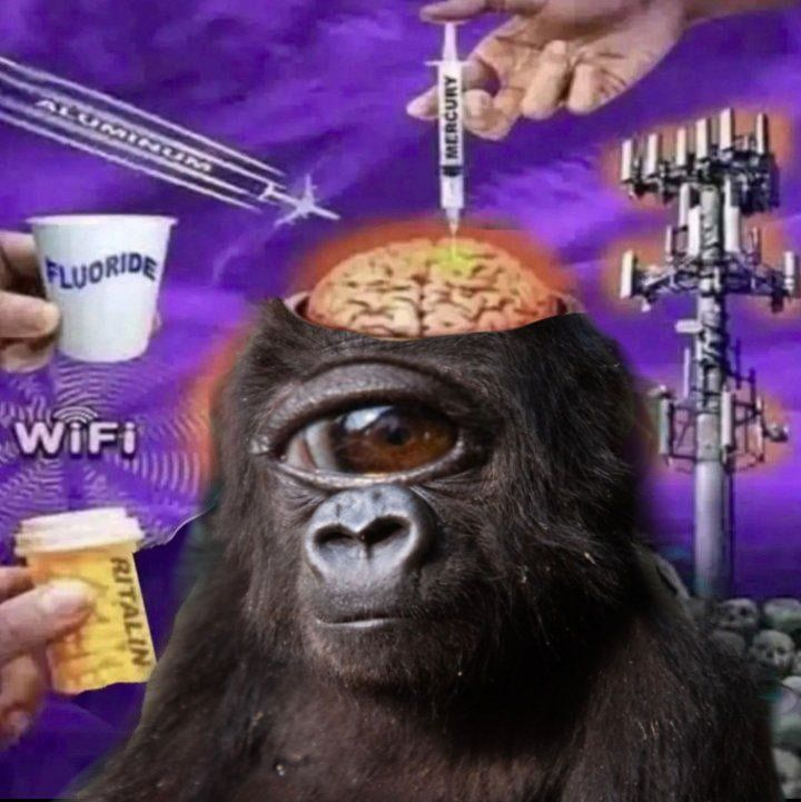 the scariest part about untested peptides isn’t the fake ones, it’s the real ones made wrong

a peptide with even one incorrect amino acid sequence
is a different molecule will still bind to receptors… just not the ones you want

your body will respond accordingly
and you will