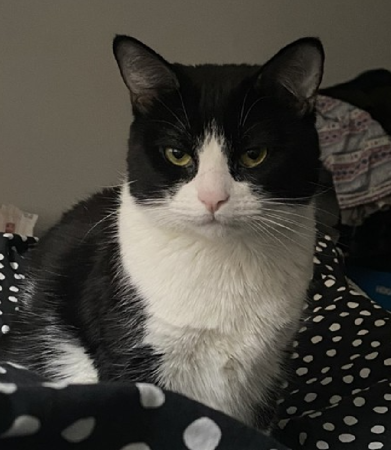 Jack5928 tweet media