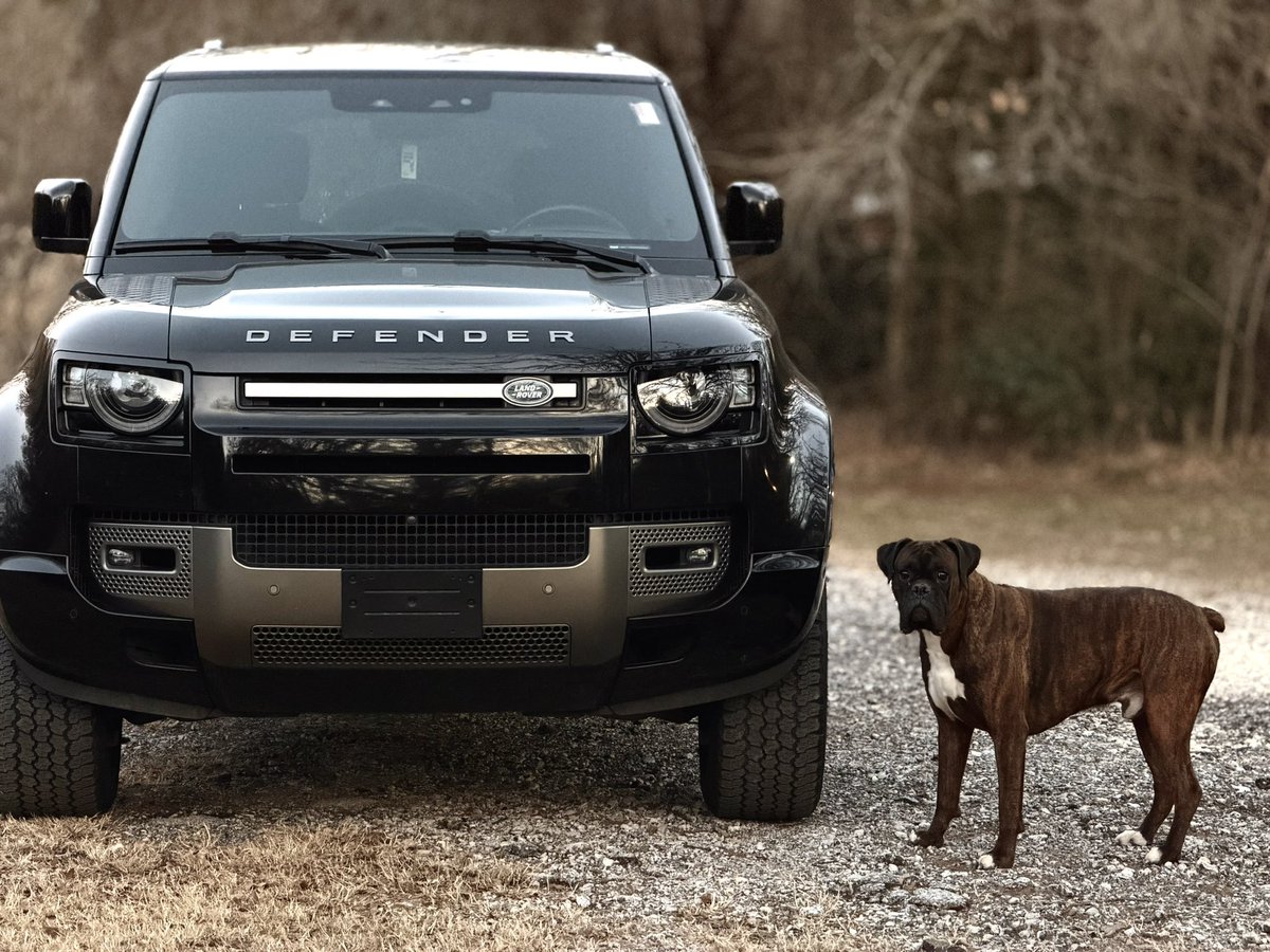 Riley Coyote tweet media