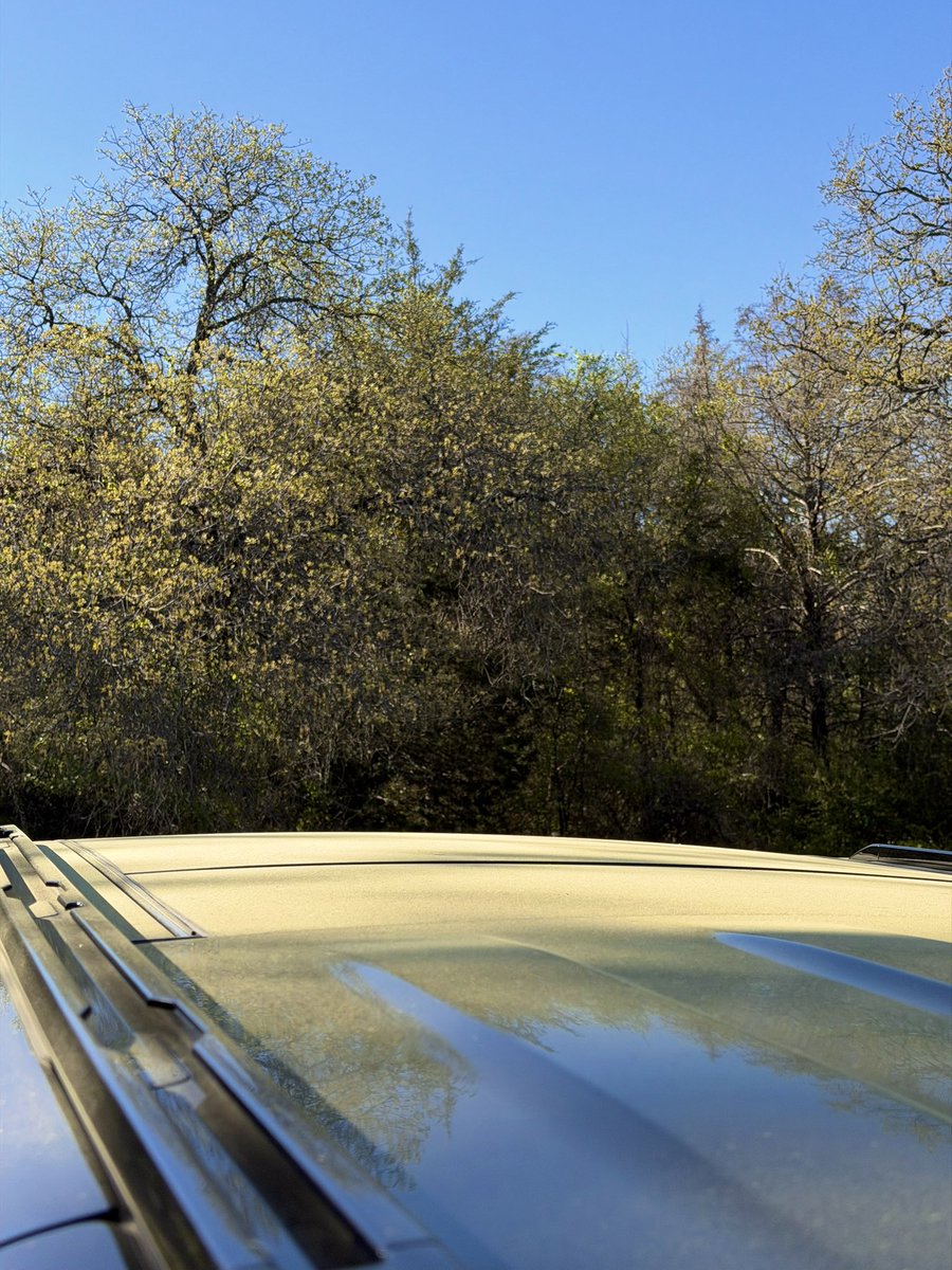 Riley Coyote tweet media