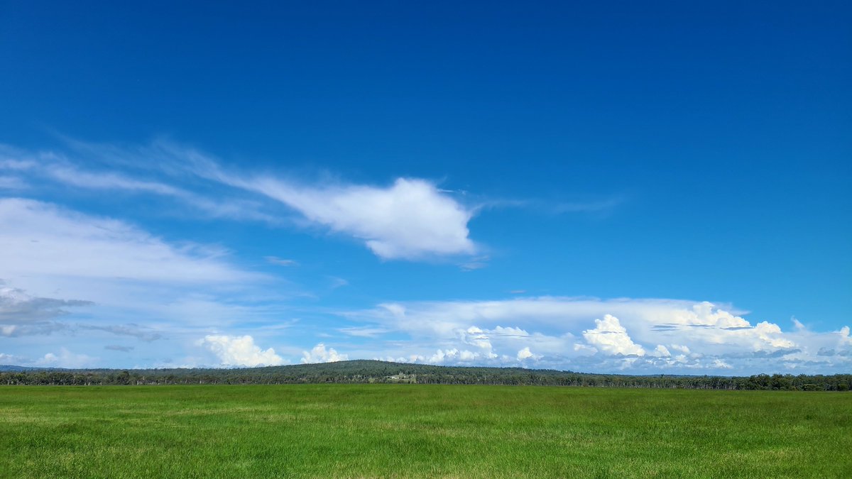BreakingNewsNik's tweet image. #kingaroy open country #queensland