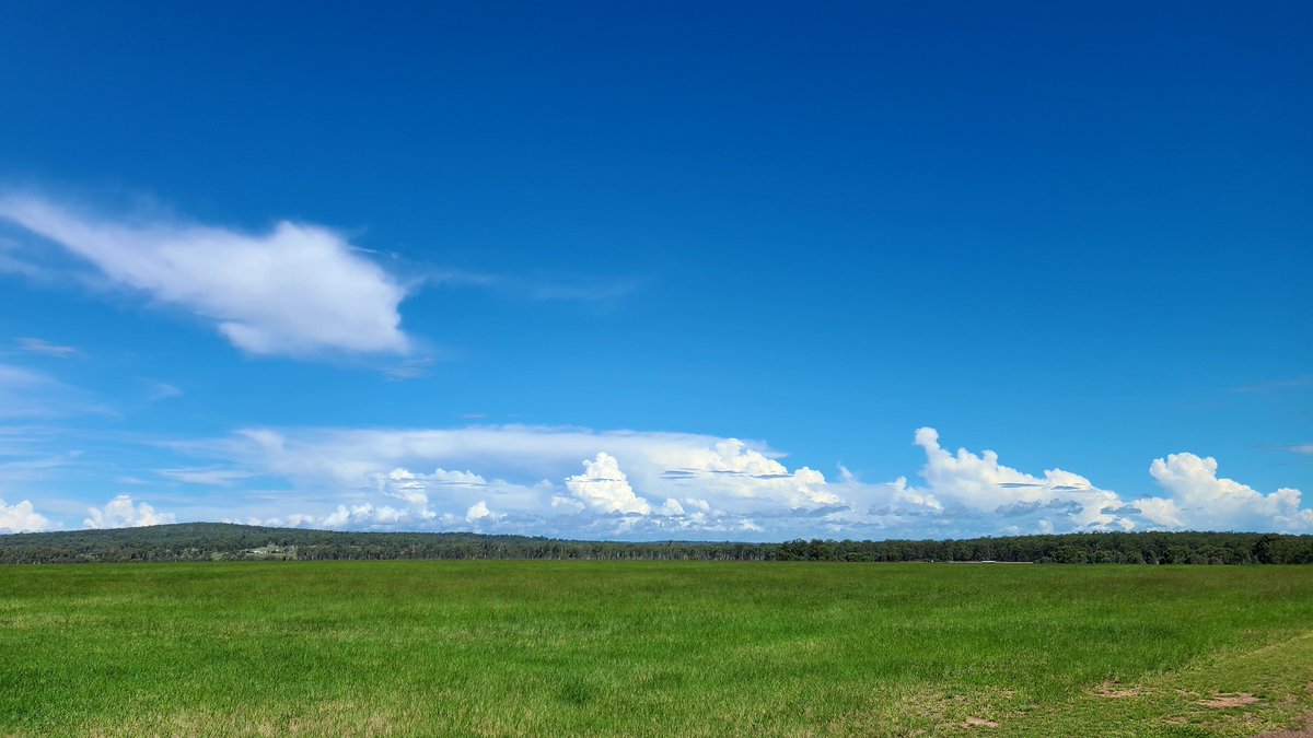 BreakingNewsNik's tweet image. #kingaroy open country #queensland