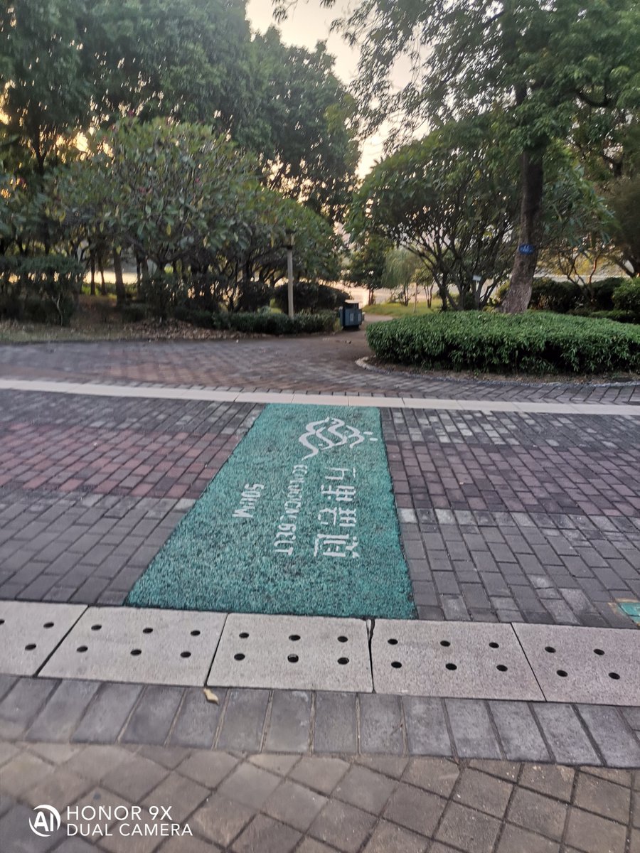 chrissi foran tweet media