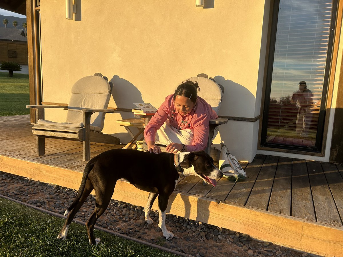 Melissa Acosta 💜🤎❤️ tweet media