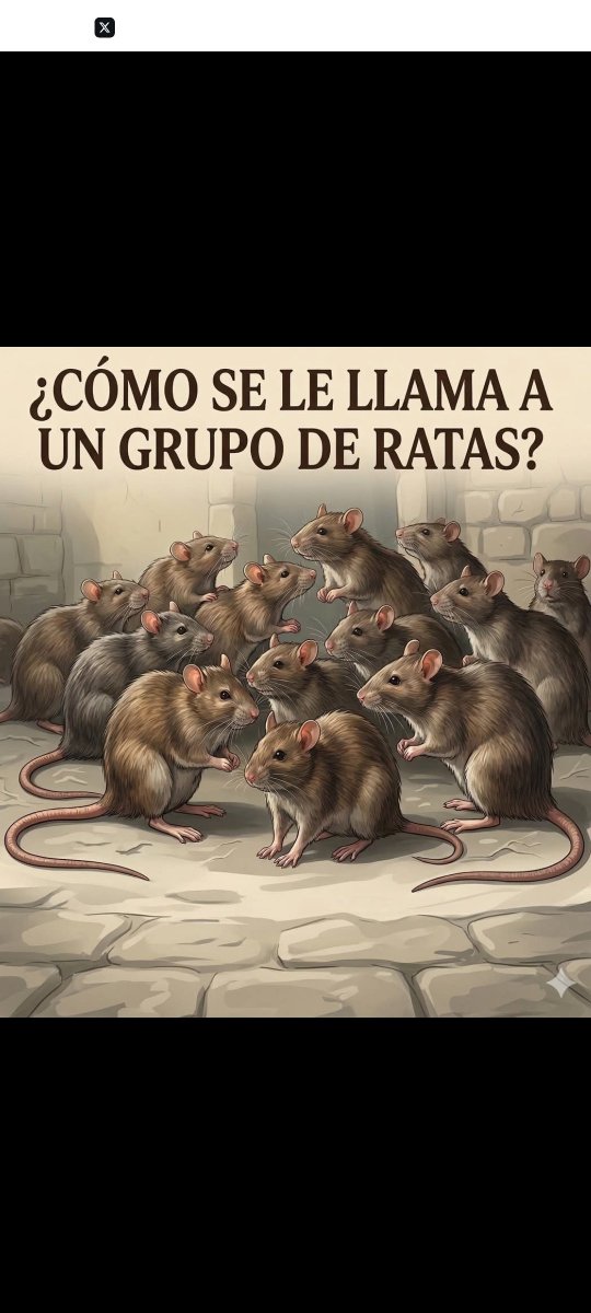 @pinchagua19 tweet media