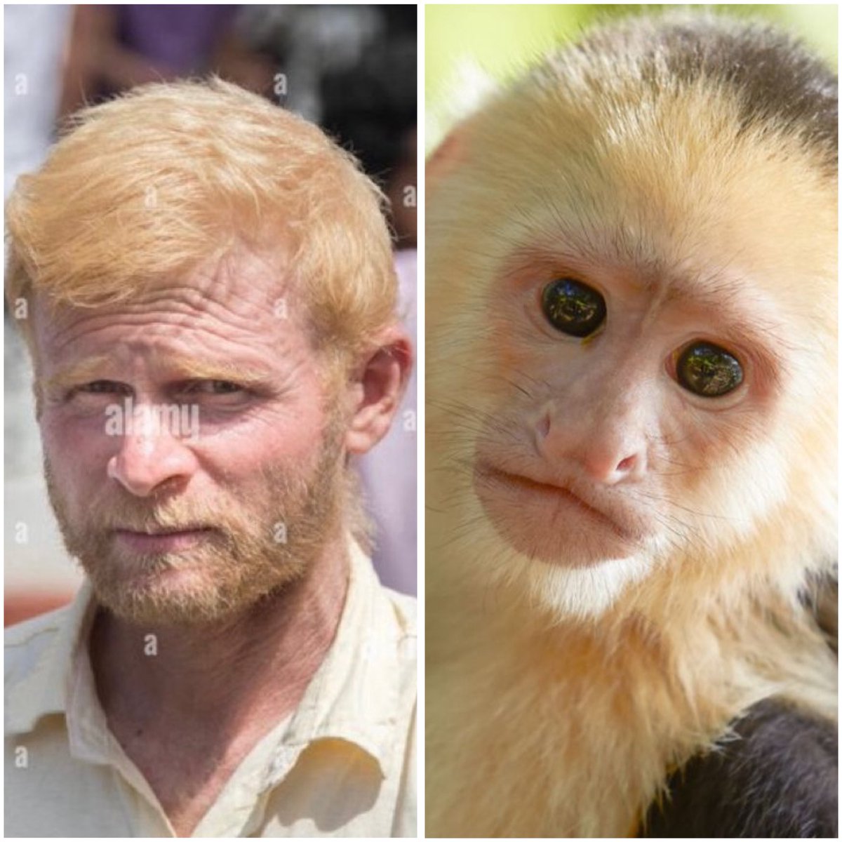 SeeEverything tweet media