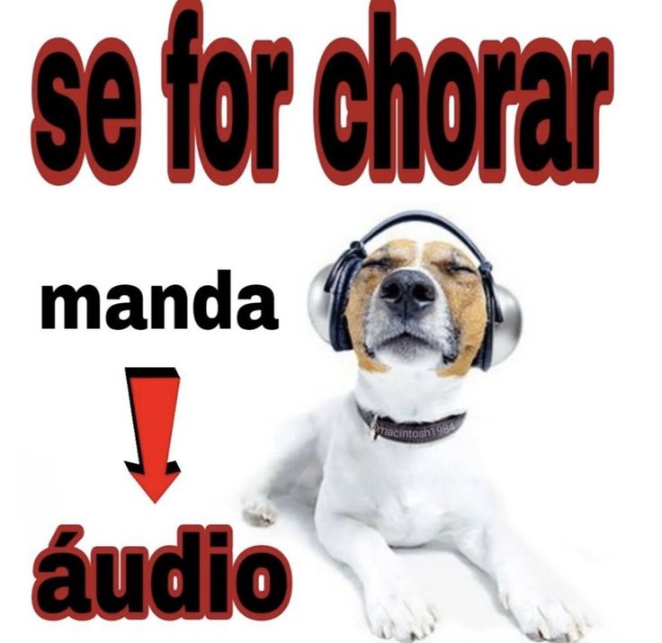 euamarylou's tweet photo. @dikferreira @rafaelkriek https://t.co/WKZ7IA4ptS
