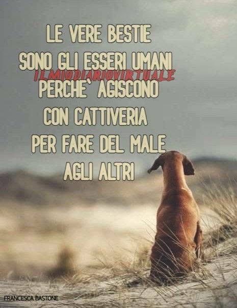 anna maria moscarell tweet media