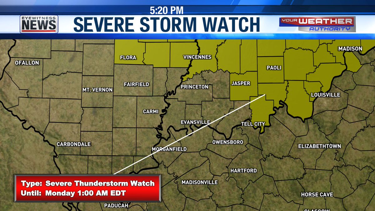 Joe Bird tweet media