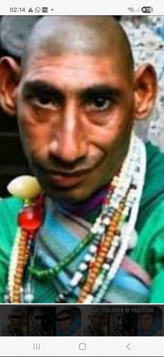 Millbrook Mush tweet media