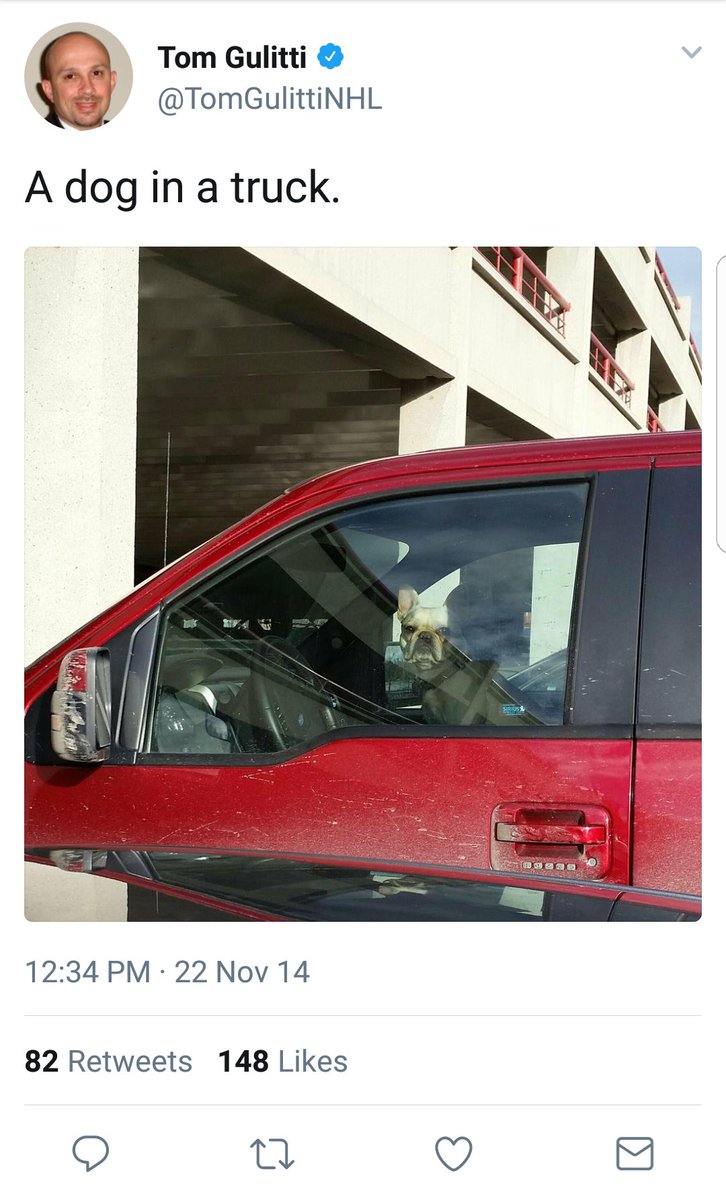 Tom 🇺🇲🇨🇿 tweet media