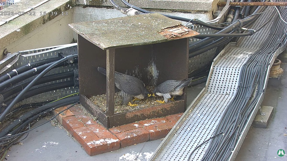 John Boorman tweet media