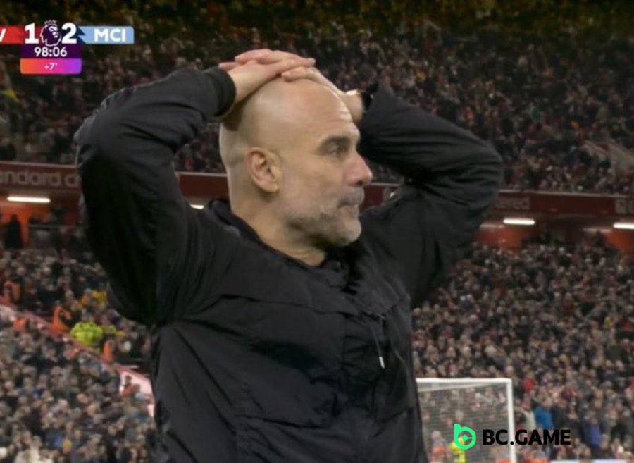 Berneese tweet media