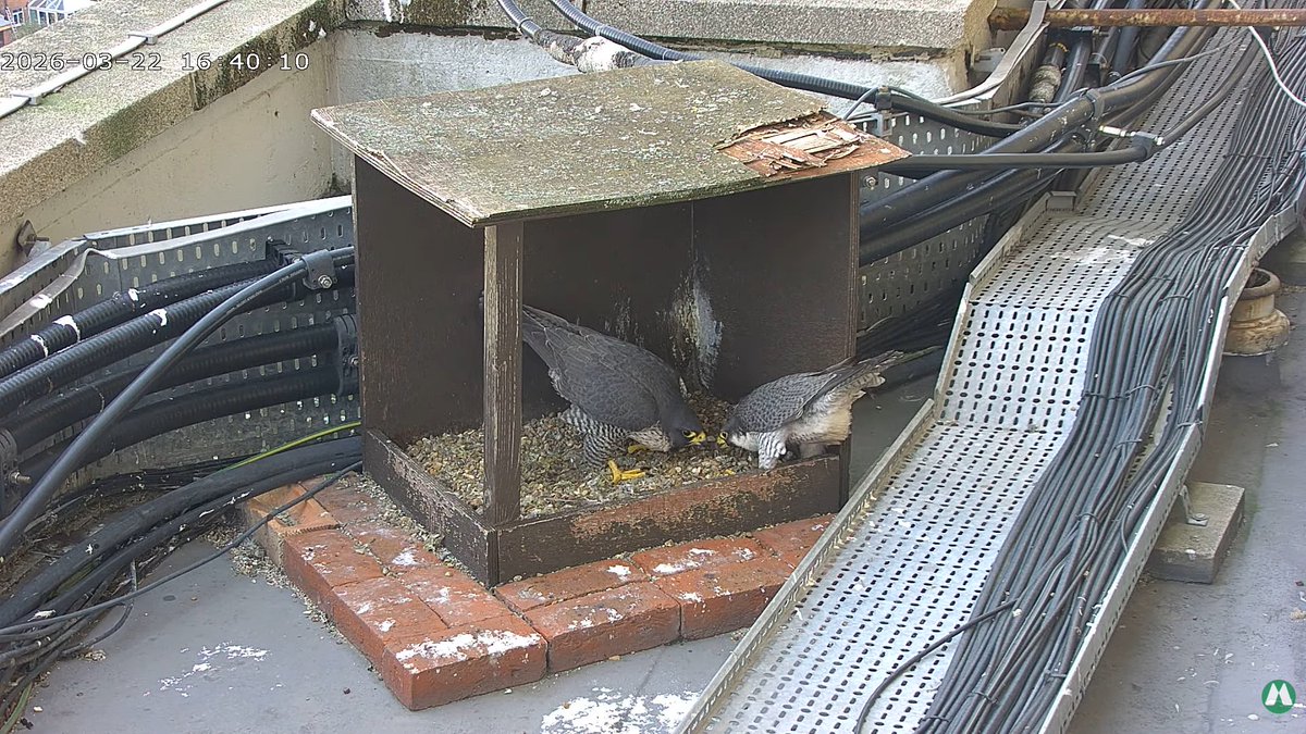 John Boorman tweet media