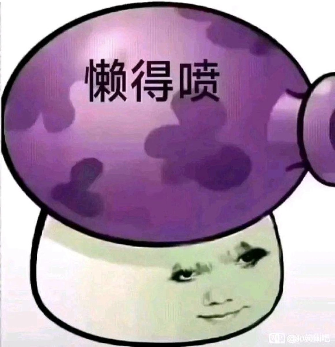 安宁 tweet media