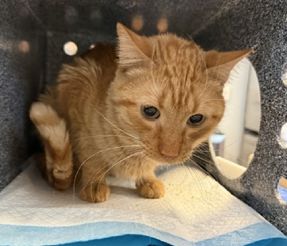 Jack5928 tweet media