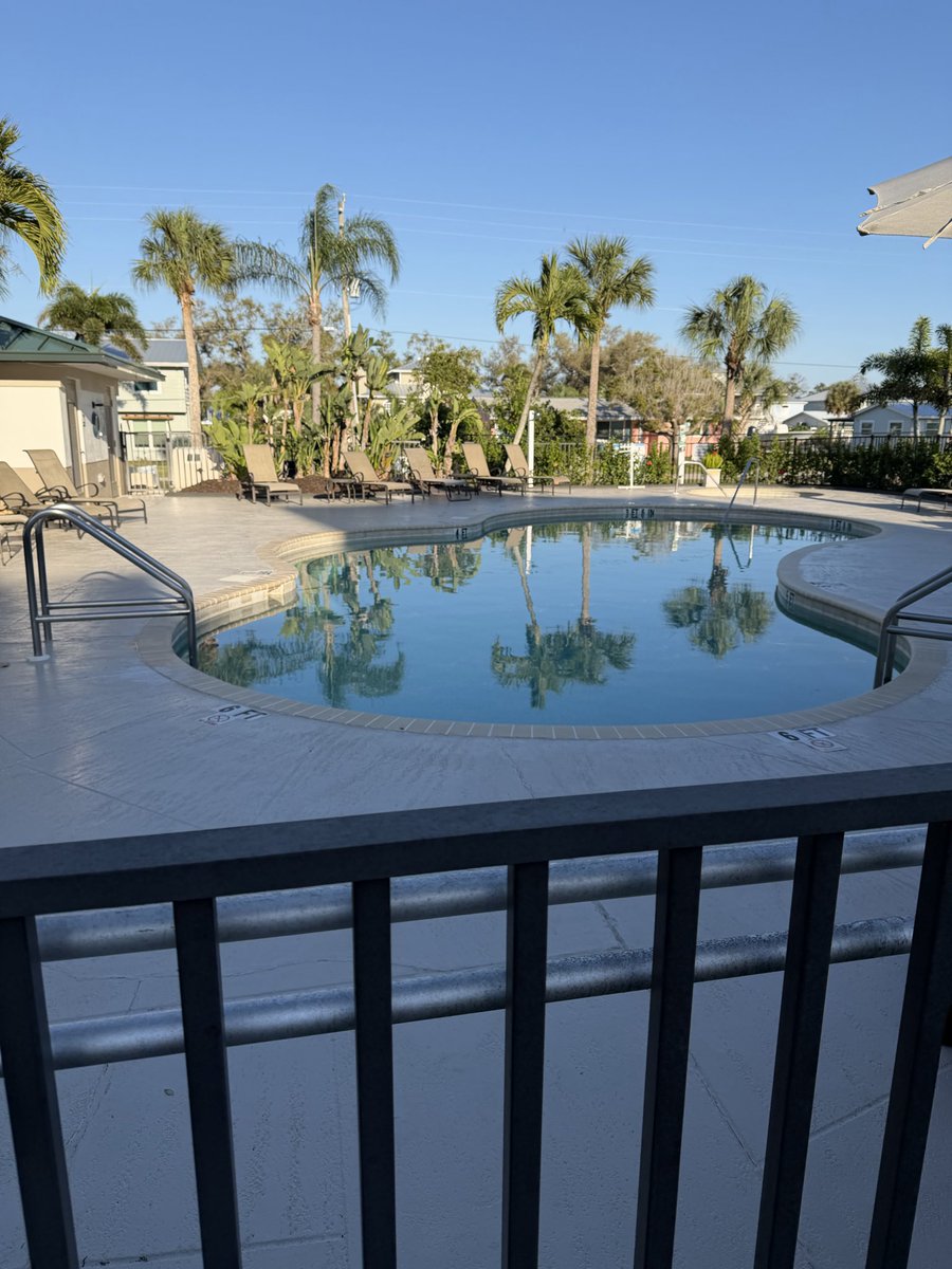 Will Codell tweet media