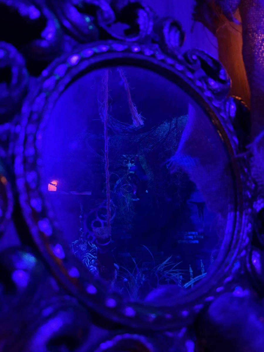 maloneandmorgan_ 🤍🍻🚬 ✭ saw Austin 6/10/25 tweet media