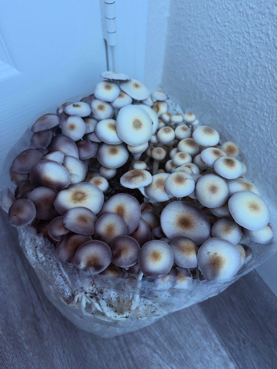 TheCasingLair tweet media