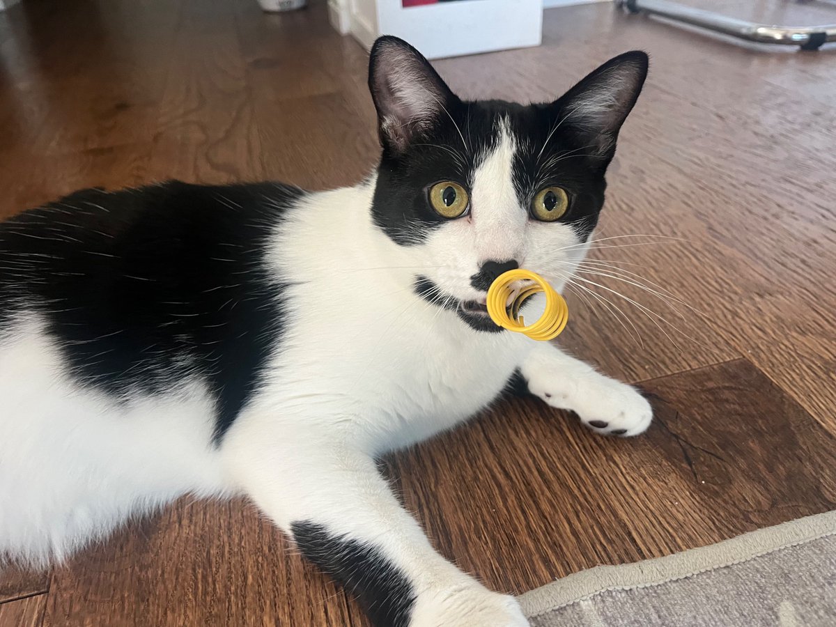 Kristin Lange 🏳️🌈 tweet media