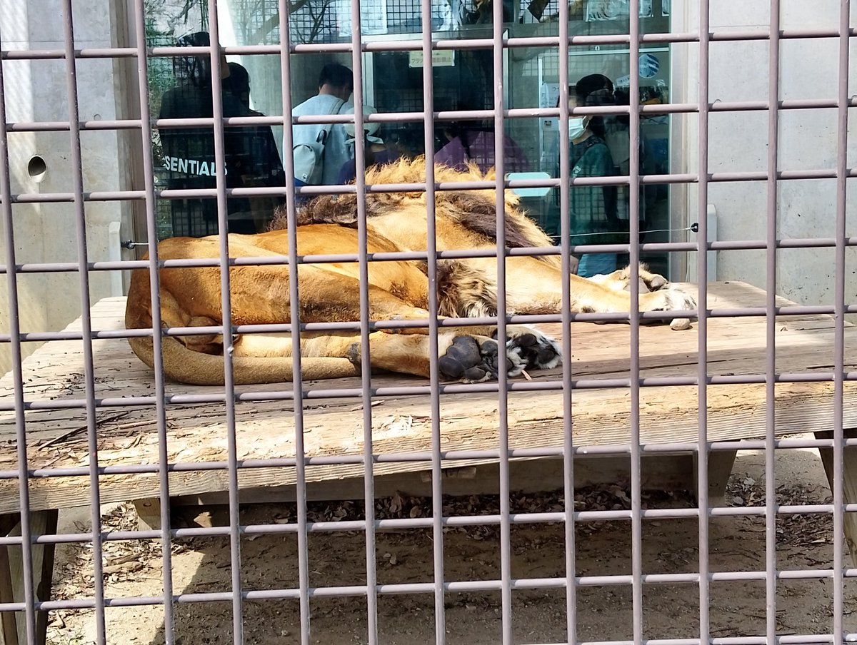 ∠エミュー tweet media