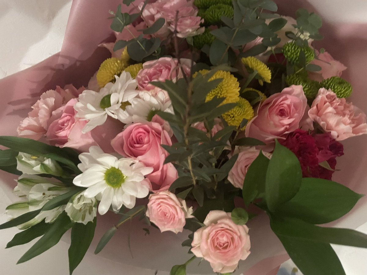 Pingu 🇻🇦 tweet media