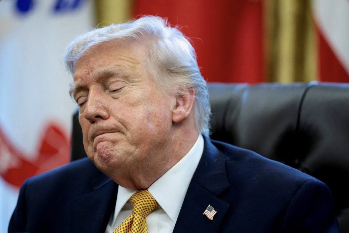 Mathilde Reali 🐏🦜🙏🏻🦉🕊️ tweet media