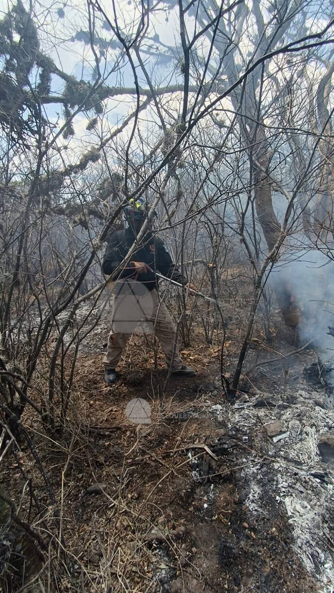 Coordinación de Protección Civil del Estado de Qro tweet media