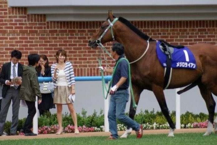 ただのぬのきれ tweet media