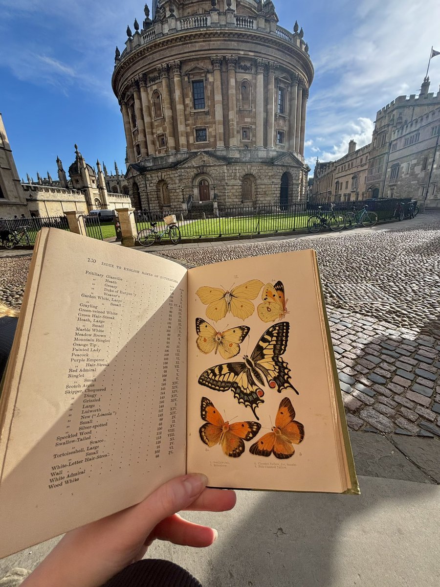 Dr Juliet Turner tweet media