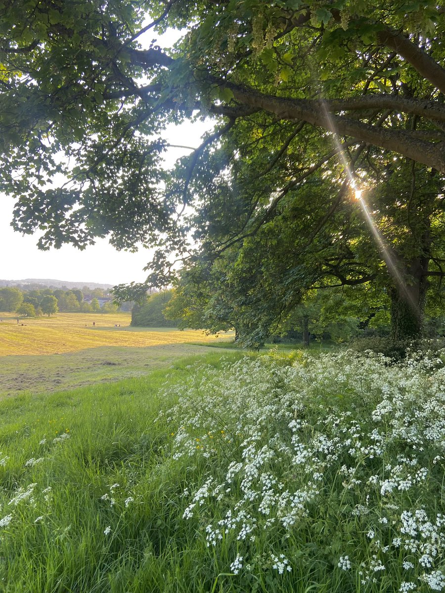 Dr Juliet Turner tweet media