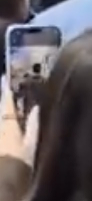 Mamiac🗣 tweet media