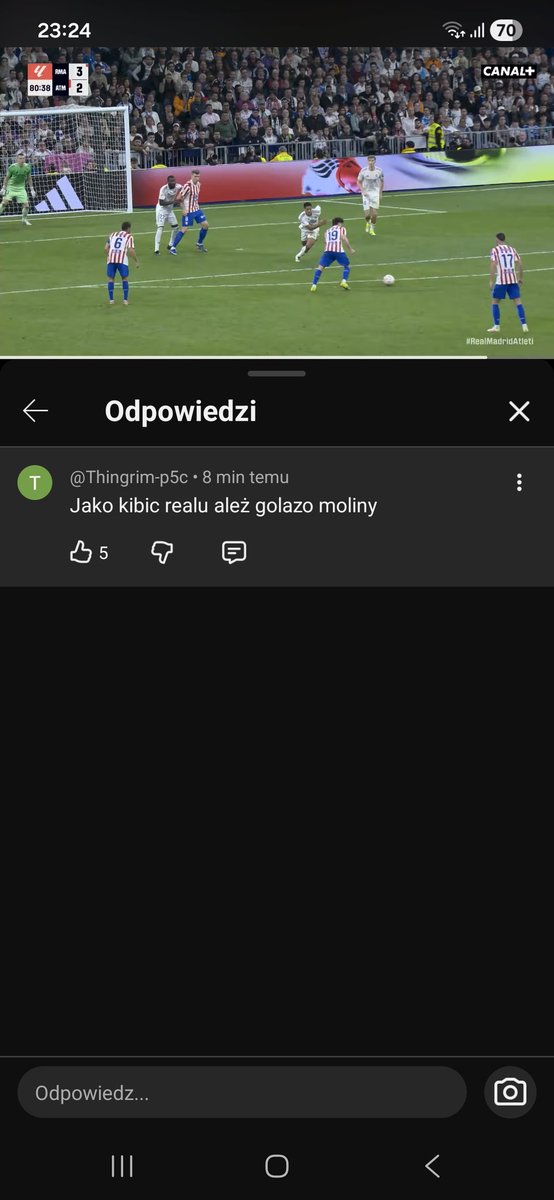 Maiser🐻🏳️🌈 tweet media