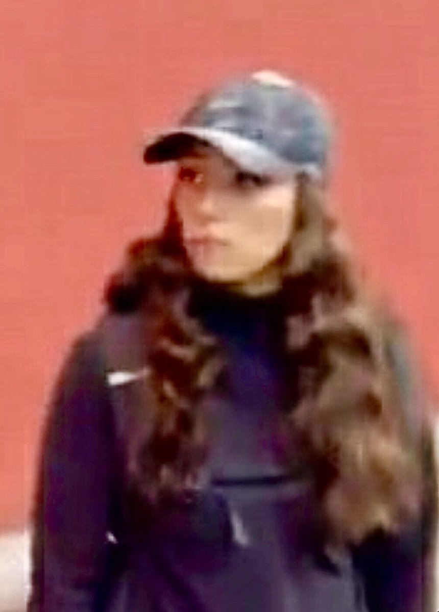 🔴 Patriotas ayúdemos a Repostear a estos dos DELINCUENTES para que sean identificados por Carabineros, la PDI y el Ministro del interior.