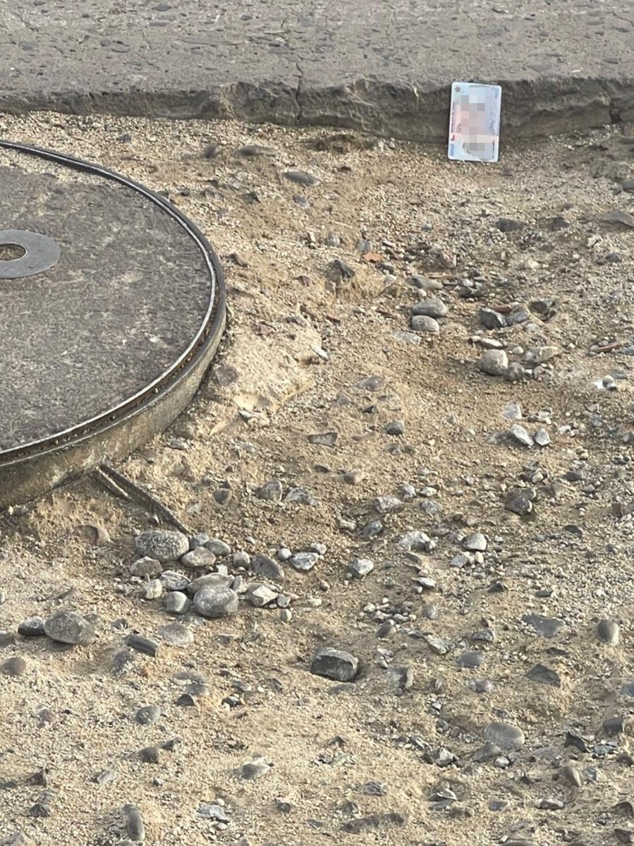 Comenteitor🌳 tweet media