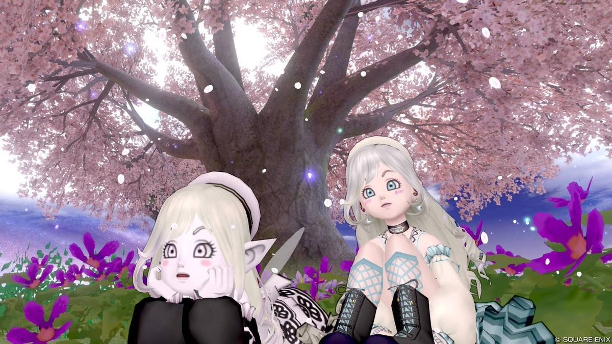 まぁ～にゃ tweet media