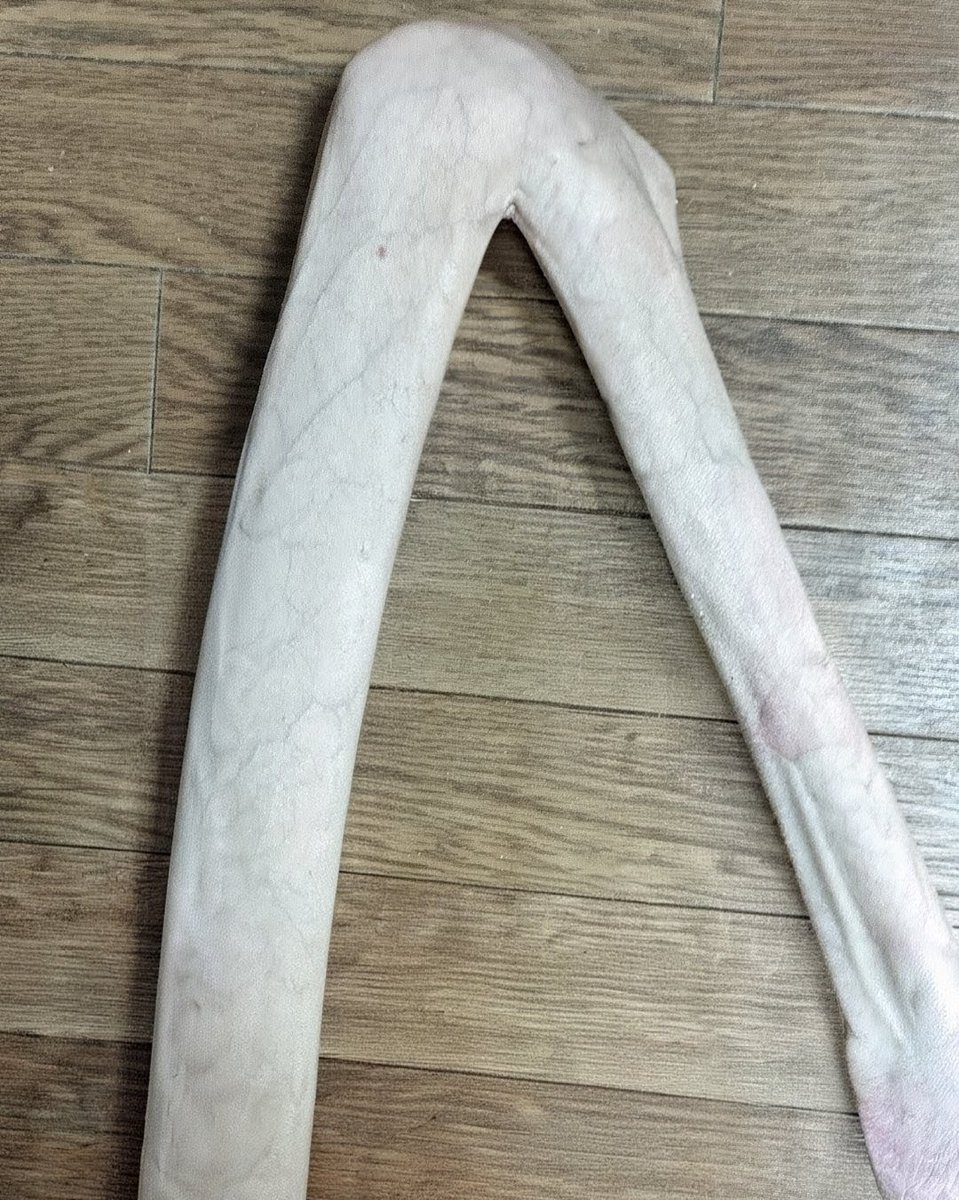 🇯🇵東雲長閑 tweet media