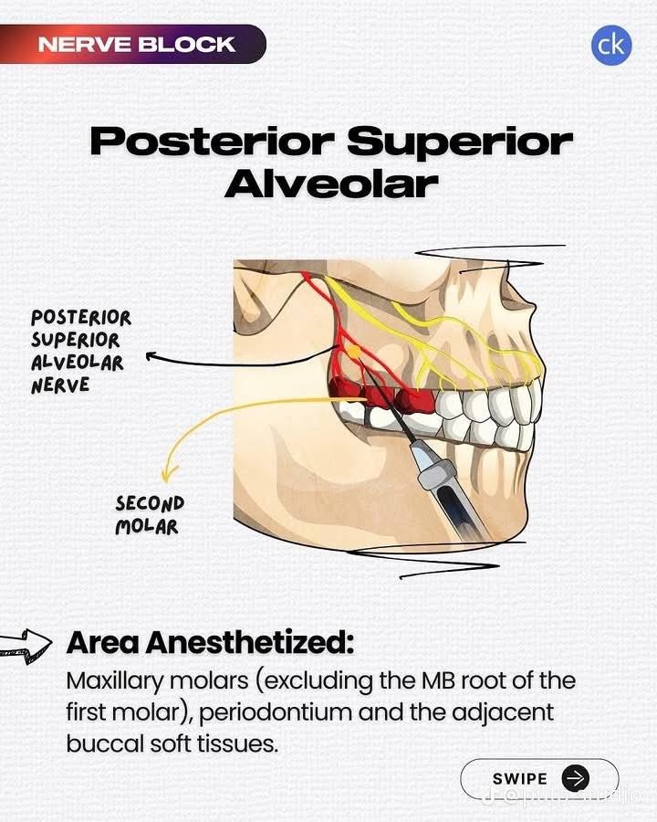 عن طب الأسنان | AboutDent tweet media