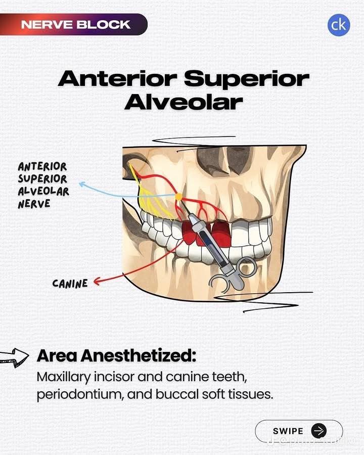 عن طب الأسنان | AboutDent tweet media