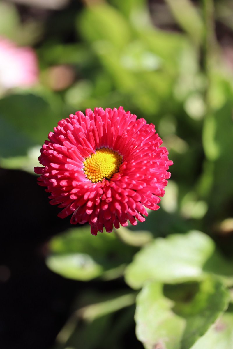 🇨🇦 Jean Paetkau 📕 tweet media