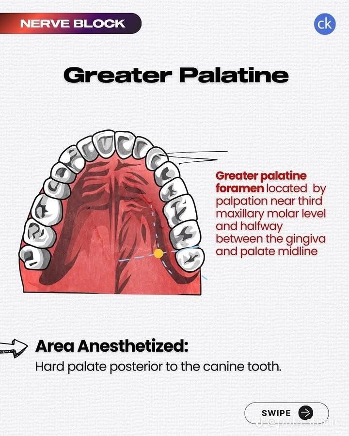 عن طب الأسنان | AboutDent tweet media