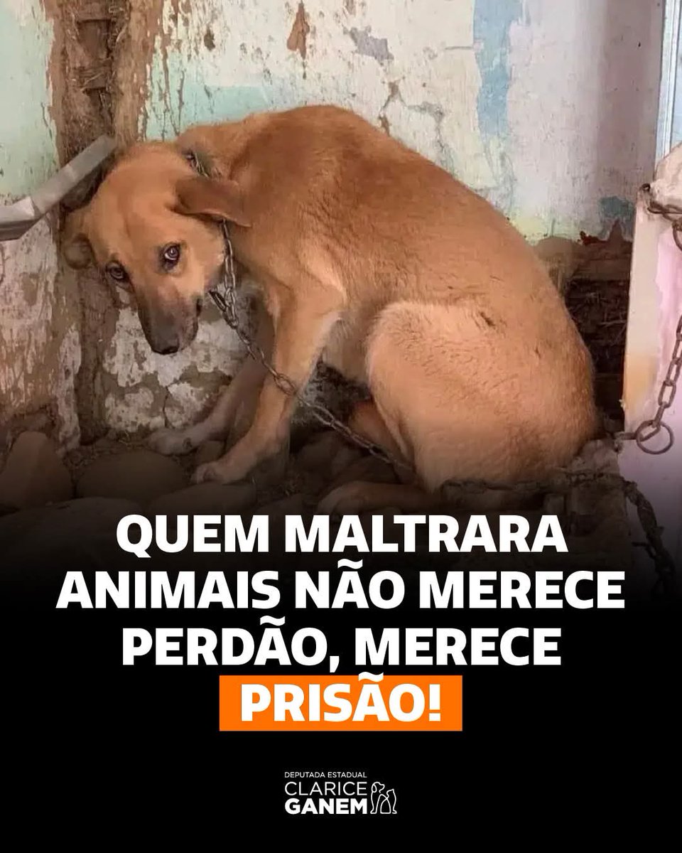 Beatriz Aguiar 🏳🏳🏳 tweet media