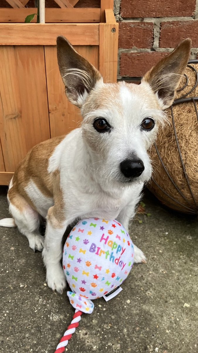 Bramble&Dotty tweet media