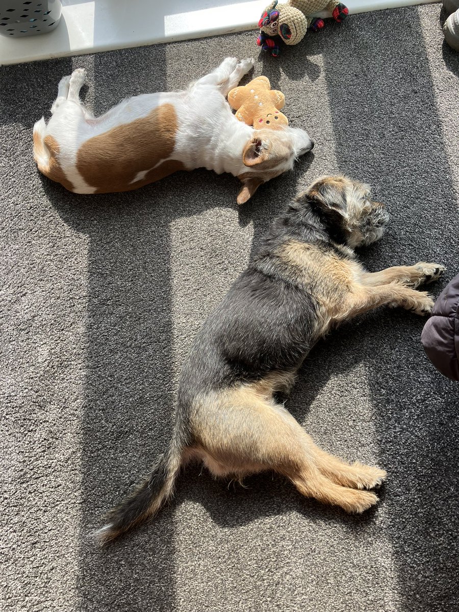 Bramble&Dotty tweet media