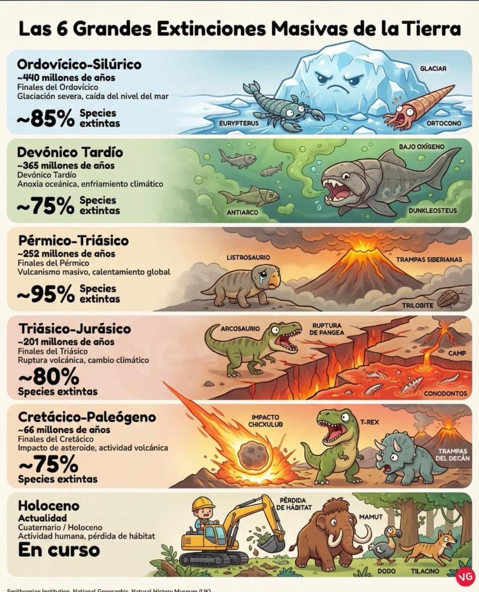 eduardovfarah tweet media