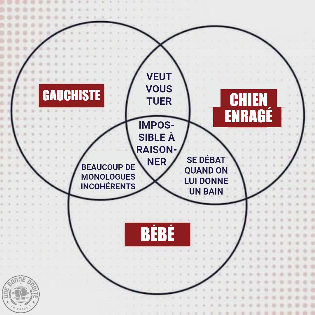 BonneDroite's tweet photo. 2 des 3 catégories n'ont pas le droit de vote 👀 https://t.co/xydWekaMQB