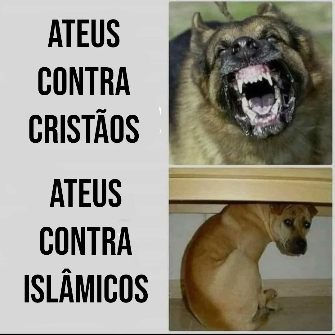 ガブリエル Entity 303 ✝️| 🇻🇦 ☭⃠ (@entity_303__) on Twitter photo 