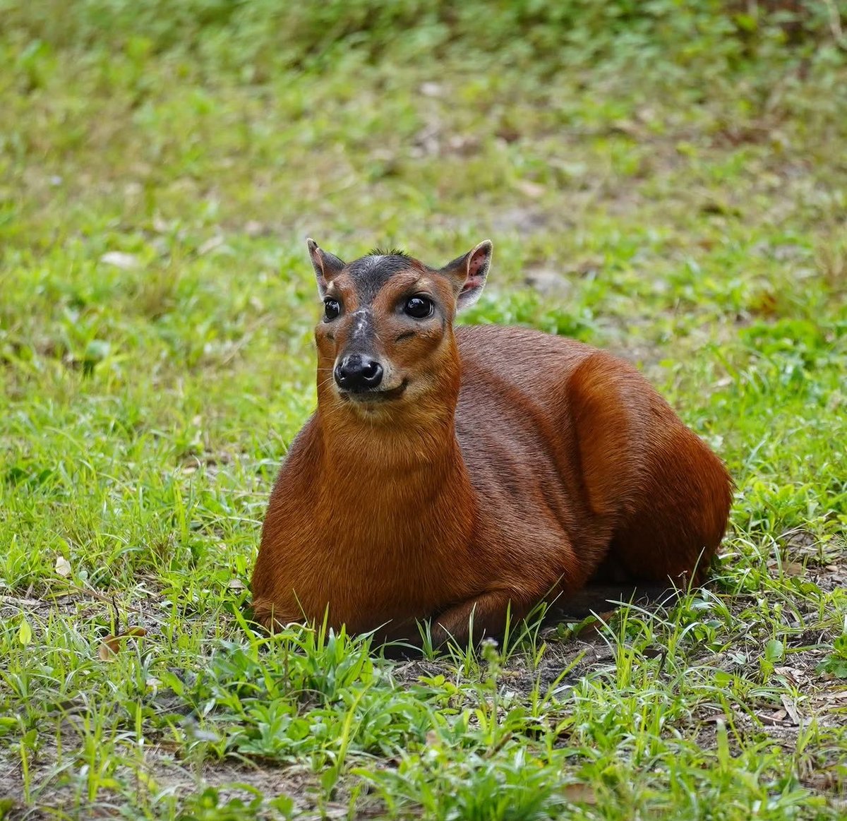 hope hopes hoping tweet media