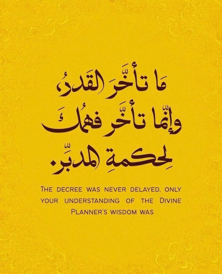 مقتبسات | Talal tweet media